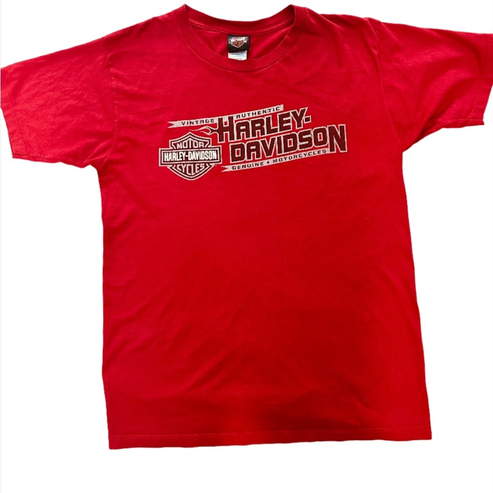 Vintage Harley Davidson Tes
